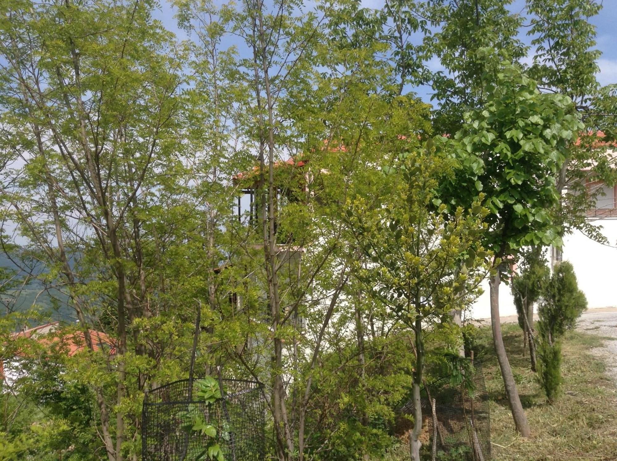 Πανδοχείο Λίμνης Πλαστήρα Kastanéa Exterior foto